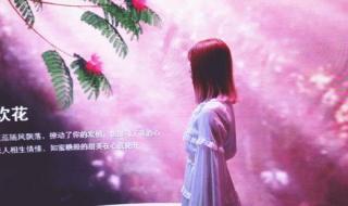 仲夏的晚风普法栏目剧