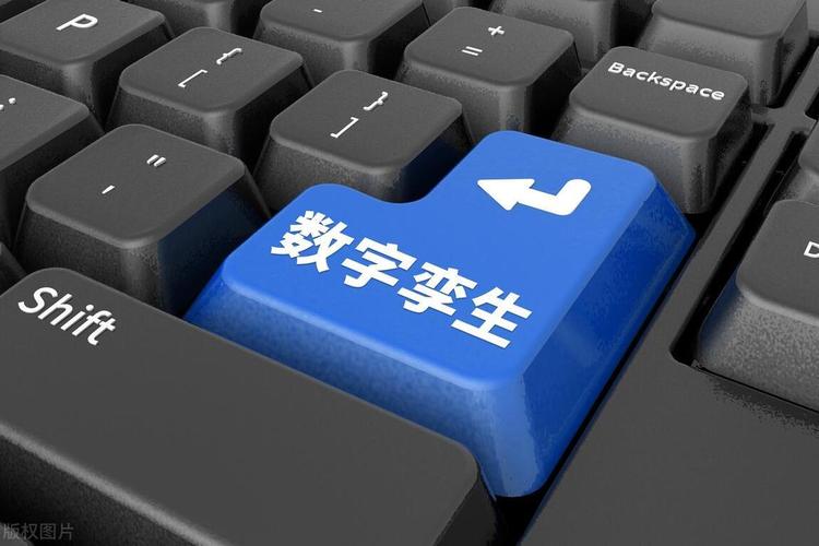 元宇宙社交(虚拟身份标准(元宇宙 虚拟币)