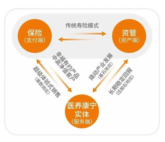 医养结合(养老医疗服务)(医养结合养老服务模式)