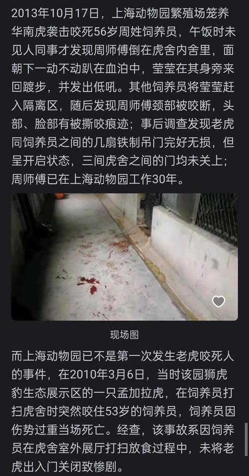 动物园老虎伤人事件(动物园 老虎 伤人)