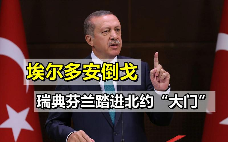 北约东扩争议(瑞典芬兰入约)(芬兰不是北约)