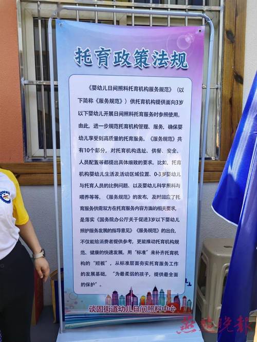 三孩政策配套（托育服务）（三孩教育配套政策）