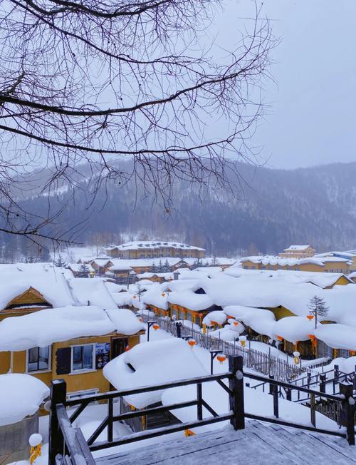 雪乡旅游乱象（旅游 雪乡）