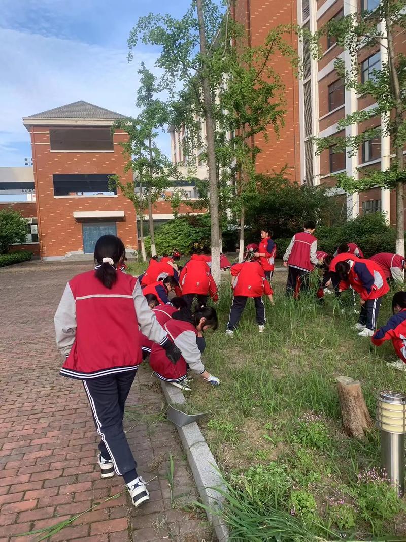 劳动教育实践（劳动教育实践图片）