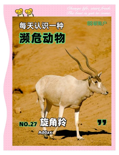 濒危物种(濒危物种的资料)