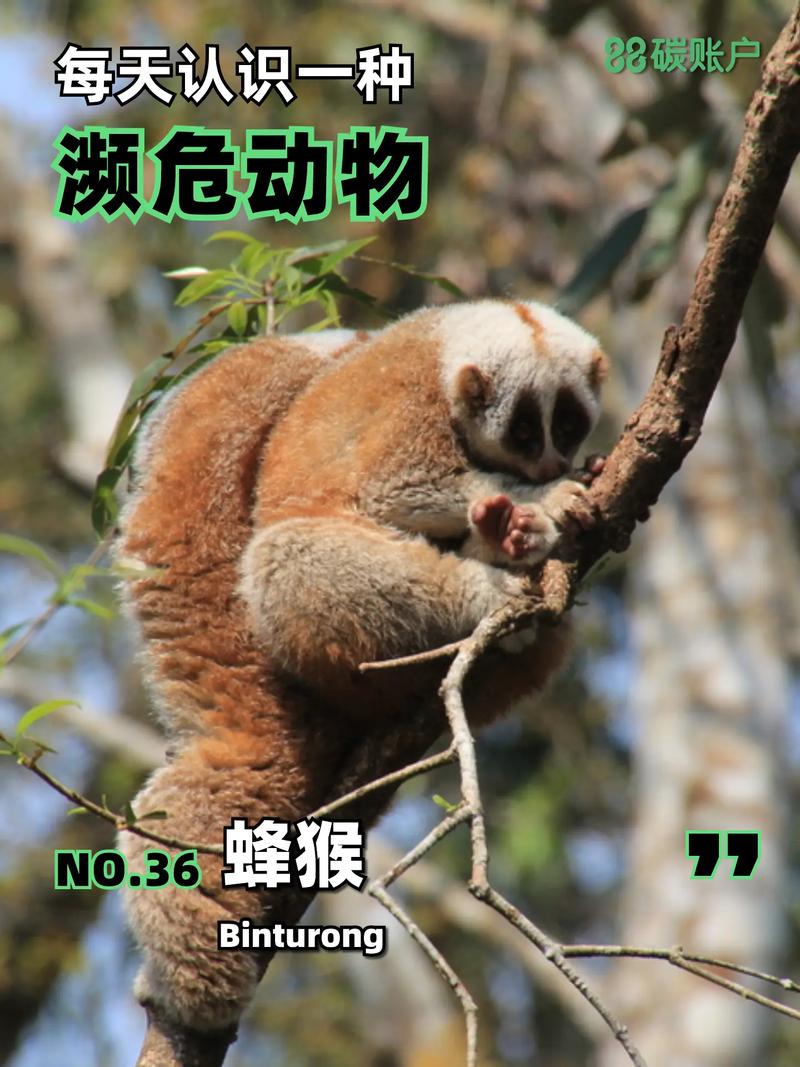 濒危物种(濒危物种的资料)