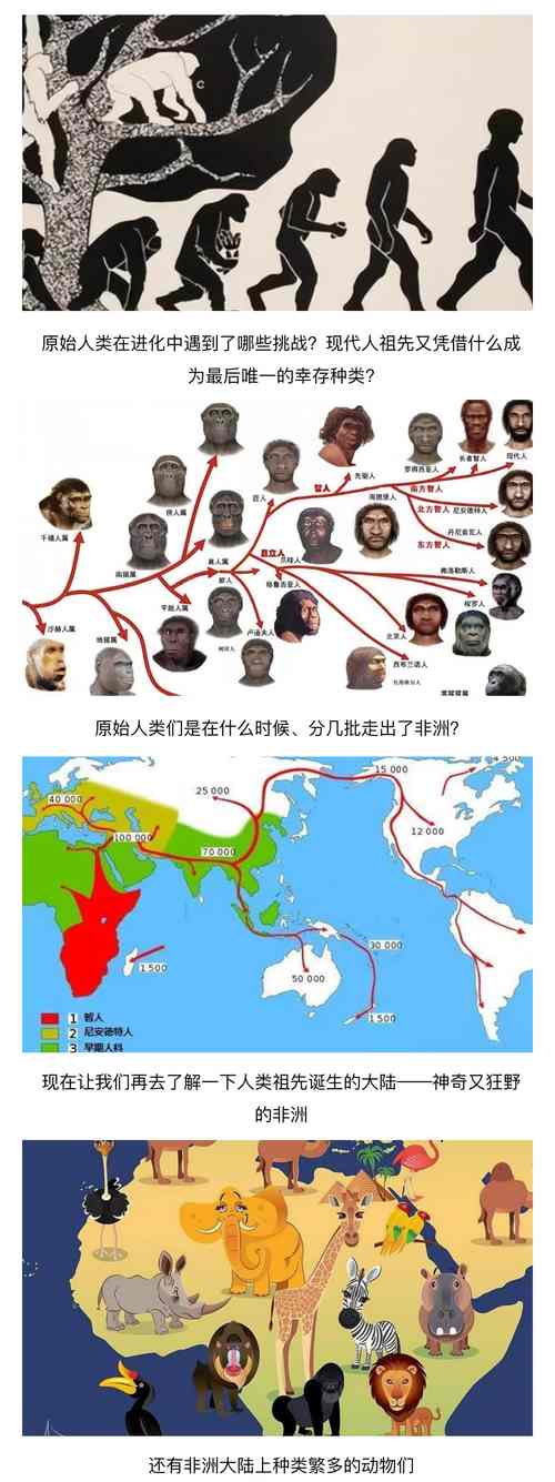 人类迁徙史（人类迁徙史研究）