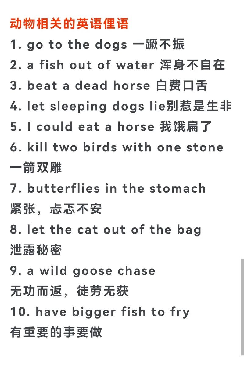 动物行为学（动物行为学英语怎么说）