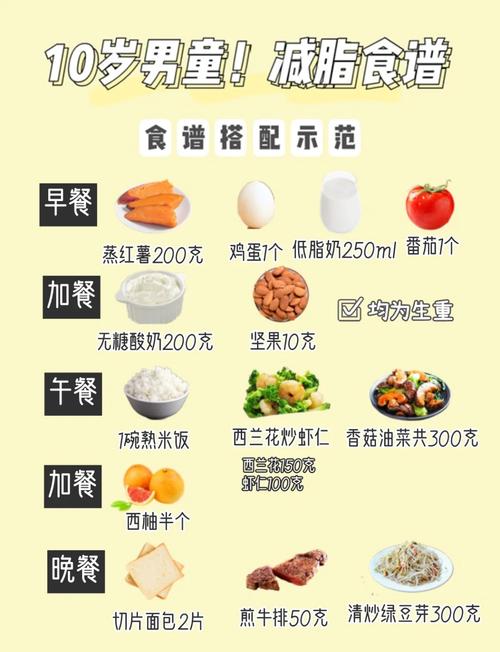 饮食营养（12岁女孩饮食营养）
