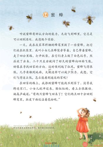 蜜蜂的舞蹈语言（蜜蜂的舞蹈语言阅读答案五年级）