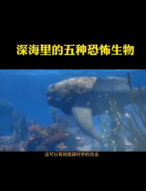 深海生物（深海生物为什么长得奇怪）