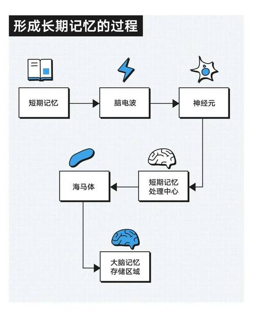 记忆机制（记忆机制有哪些方面的内容）