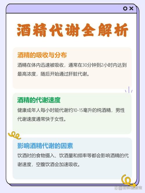 酒精代谢（酒精代谢一般需要多长时间）