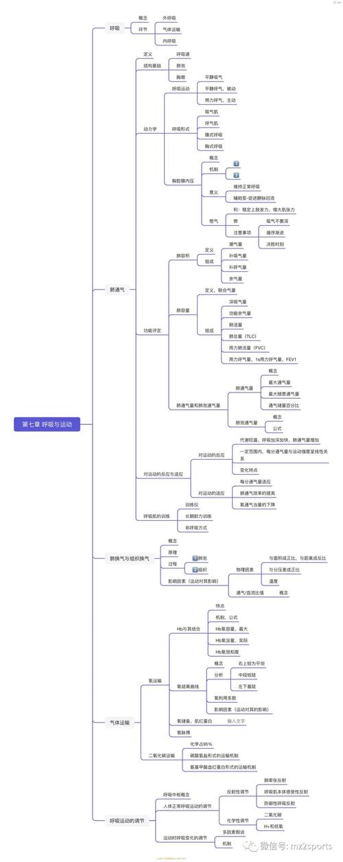 运动生理学(运动生理学重点知识归纳)