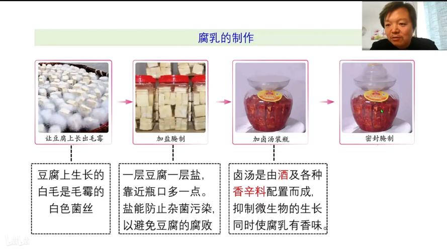 发酵原理(小苏打发酵原理)