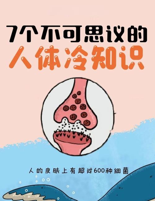 人体冷知识(人体奥秘)