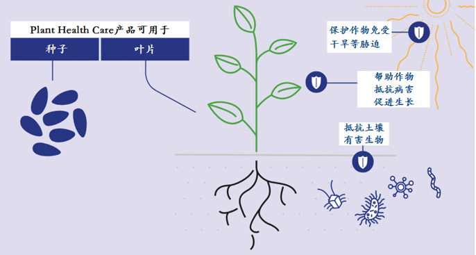 植物防御机制(植物防御包括什么)