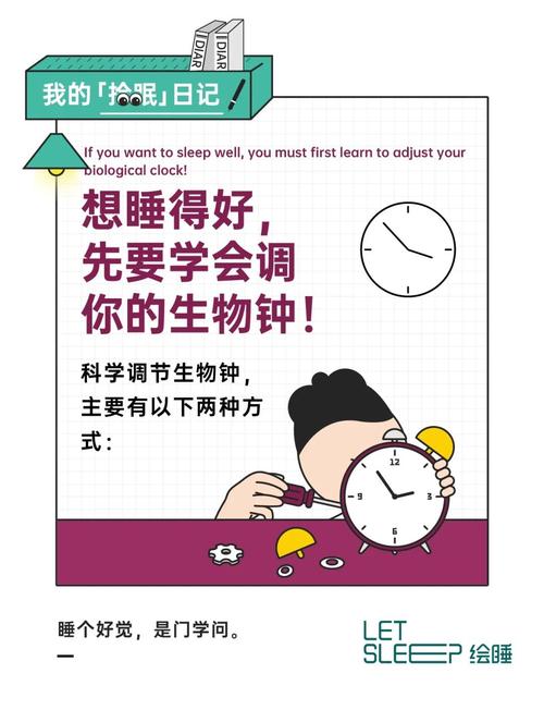睡眠周期优化如何根据你的生物钟安排作息(睡眠生物钟调整)