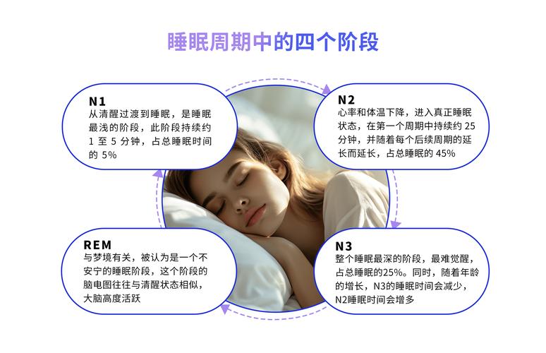 睡眠周期优化如何根据你的生物钟安排作息(睡眠生物钟调整)