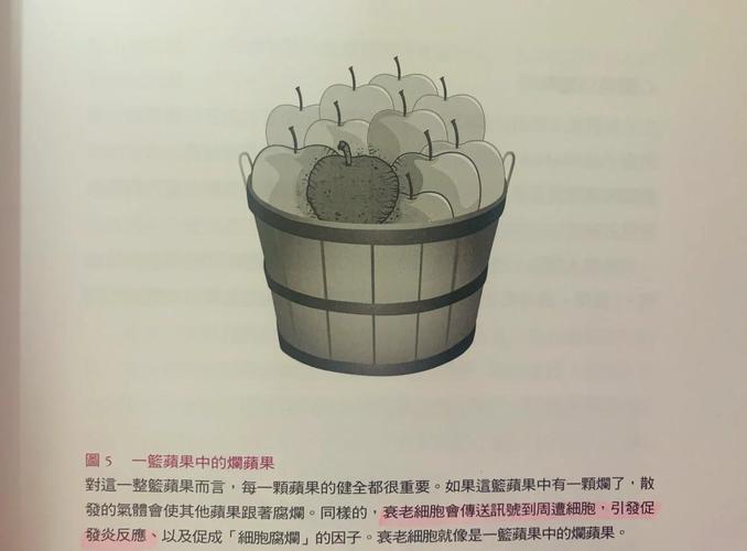端粒养护指南科学证实的生活习惯(端粒的重要性)