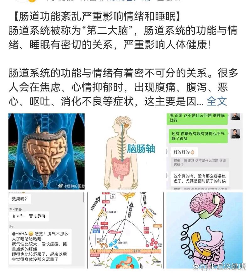 肠道与大脑如何通过饮食调节改善情绪（肠道和大脑之间的作用）