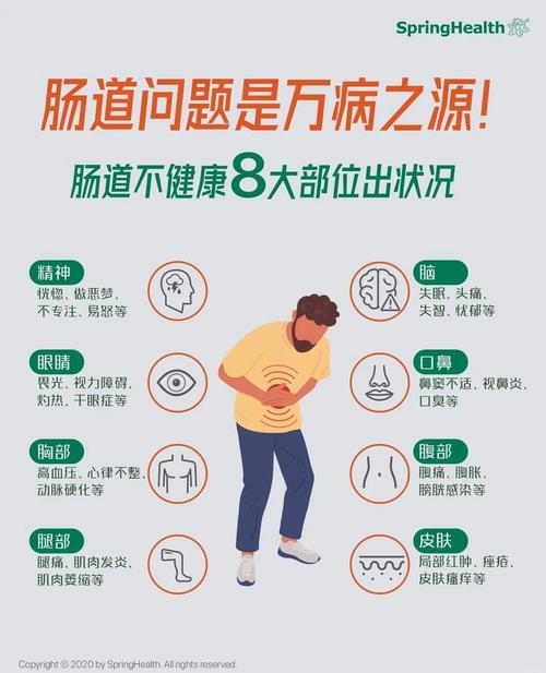 肠道与大脑如何通过饮食调节改善情绪（肠道和大脑之间的作用）